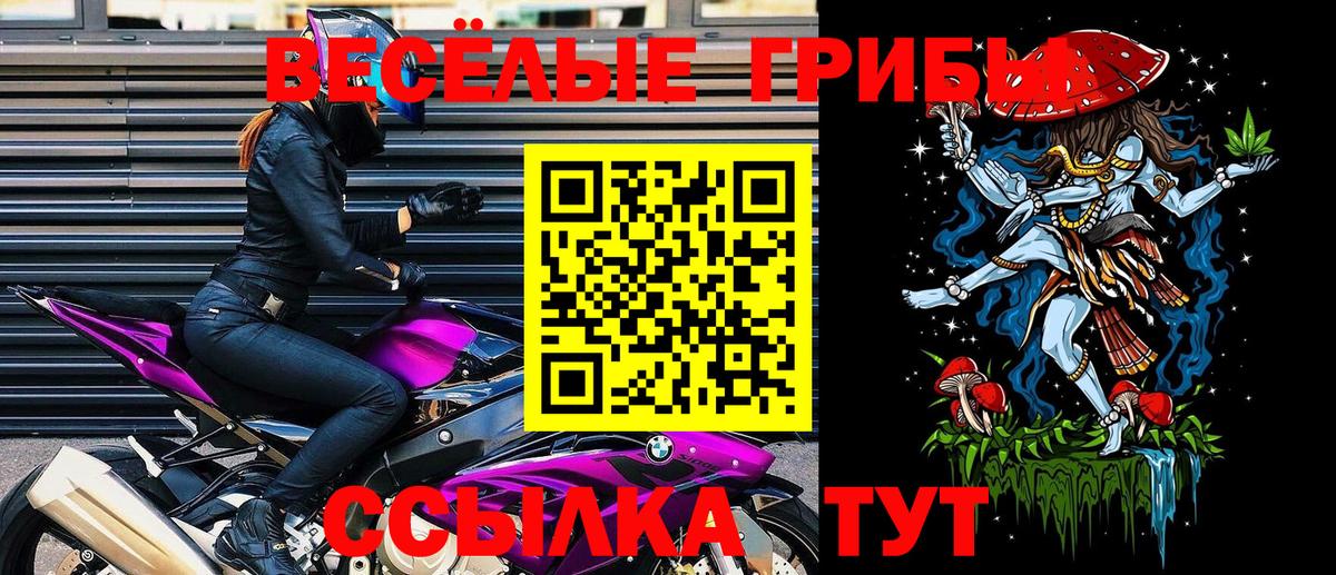 Галлюциногенные грибы ЛСД Апатиты