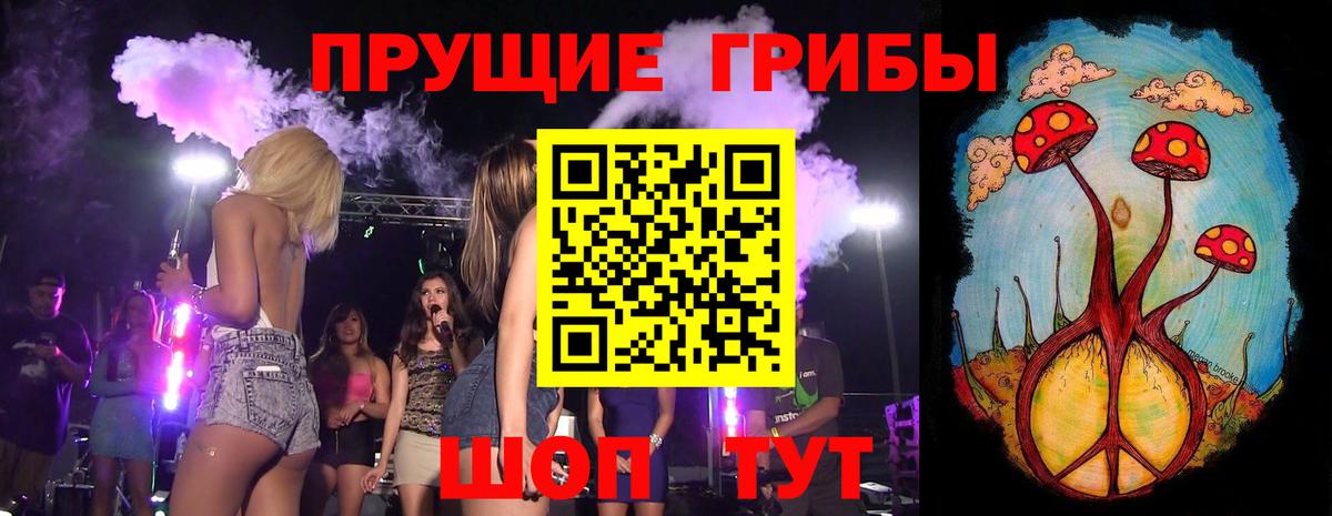 Галлюциногенные грибы MAGIC MUSHROOMS  что такое   Апатиты  Вход с VPN 